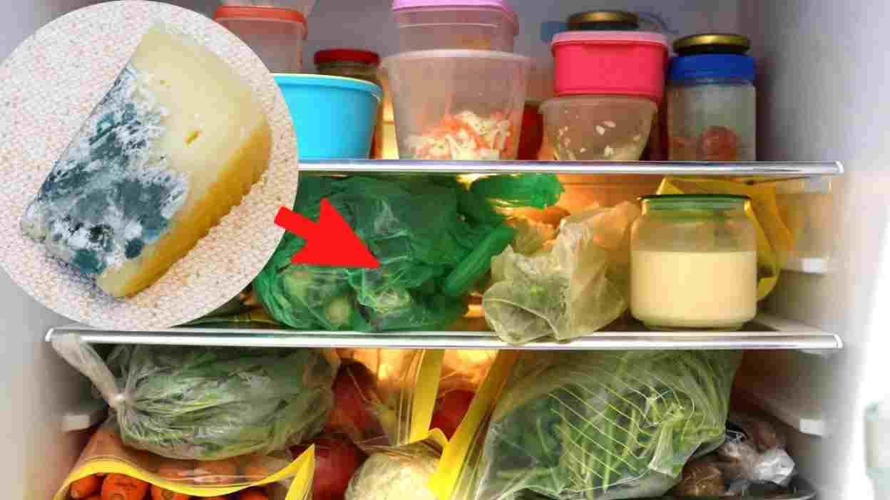 Come eliminare gli odori strani del frigorifero